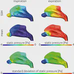 Characterization of the Airflow within an Average Geometry of the Healthy Human Nasal Cavity