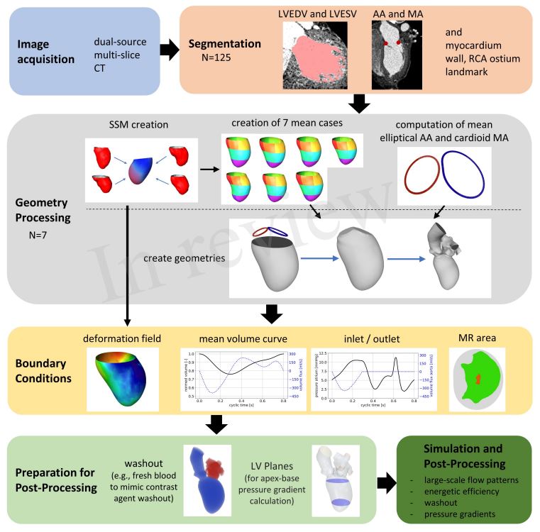 CTbased Analysis of Left Ventricular Hemodynamics Using Statistical Shape Modelling and